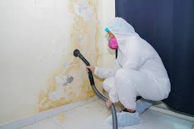 Best Emergency Mold Remediation  in Rankin, PA